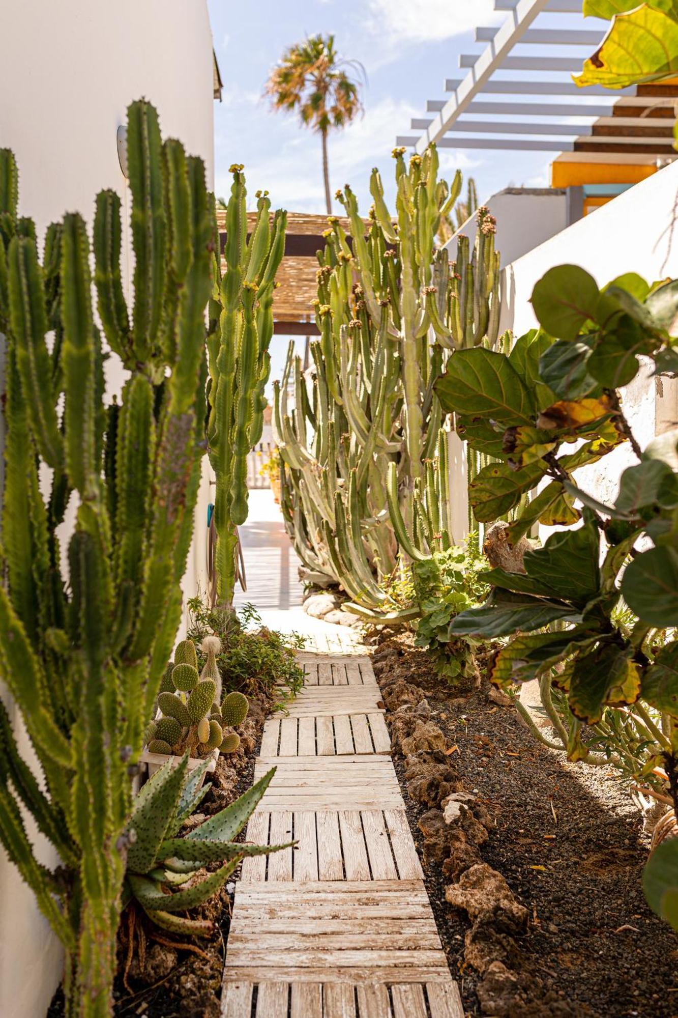 El Piloto By Best Holidays Fuerteventura Corralejo Zewnętrze zdjęcie