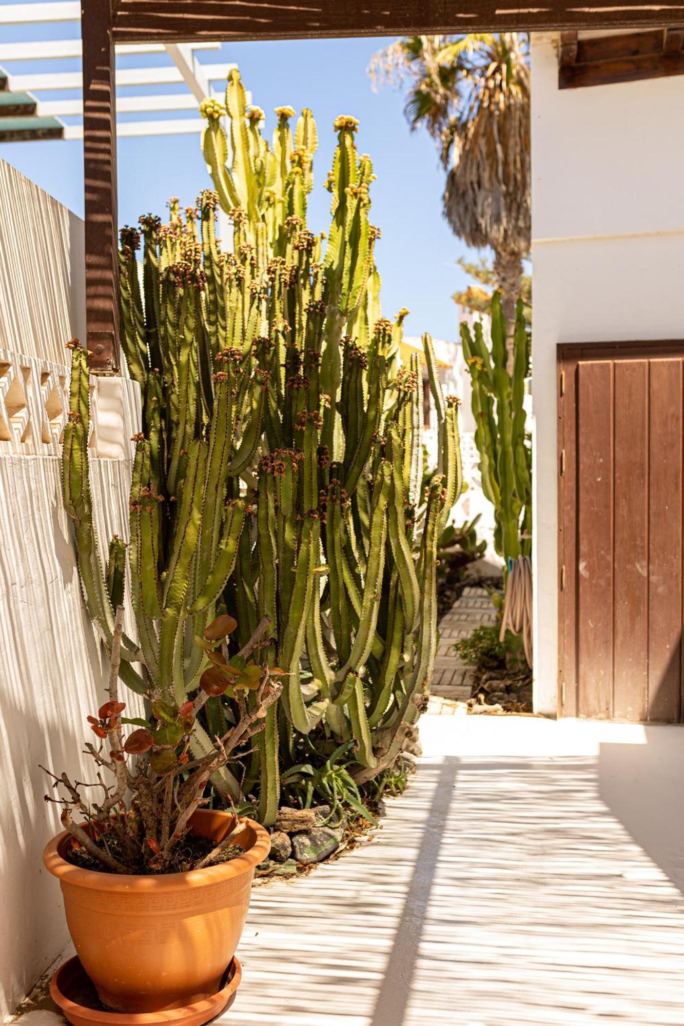 El Piloto By Best Holidays Fuerteventura Corralejo Zewnętrze zdjęcie